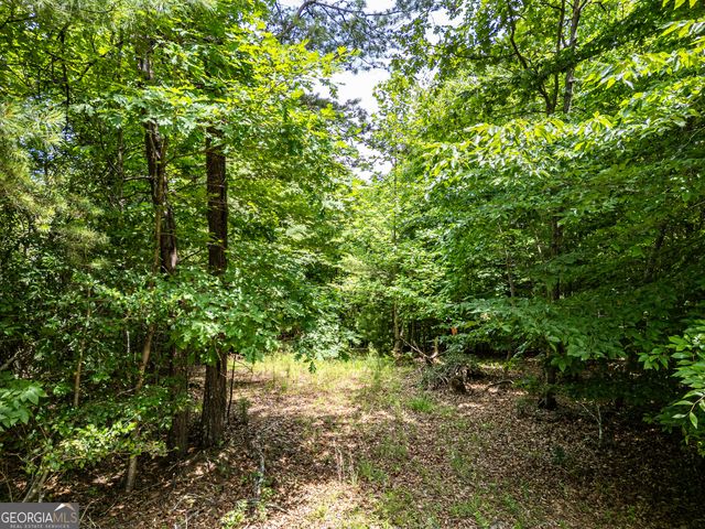 LT 2 Stormy Ridge, Brasstown, NC 28902