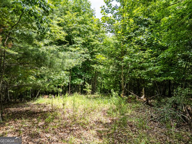 LT 2 Stormy Ridge, Brasstown, NC 28902