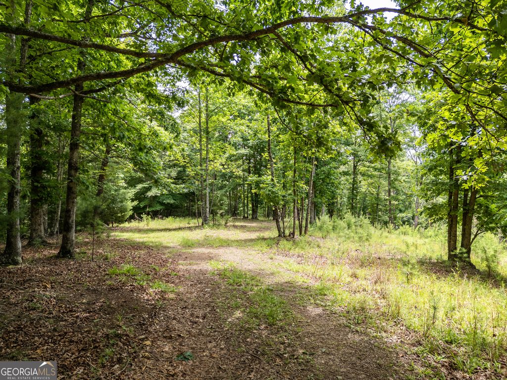 LT 2 Stormy Ridge, Brasstown, NC 28902
