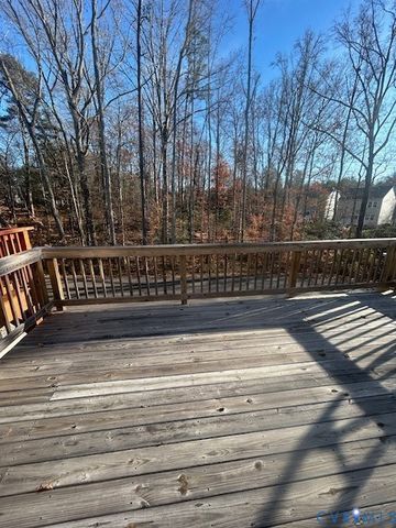 17067 Thornapple Ct, Moseley, VA 23120