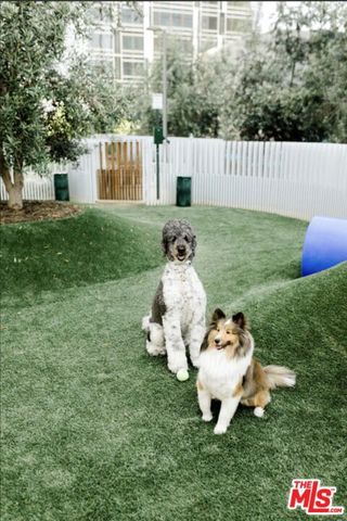 889 S Francisco St Street 2305, Los Angeles, CA 90017