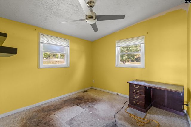 133 Williams Way, Chapin, SC 29036