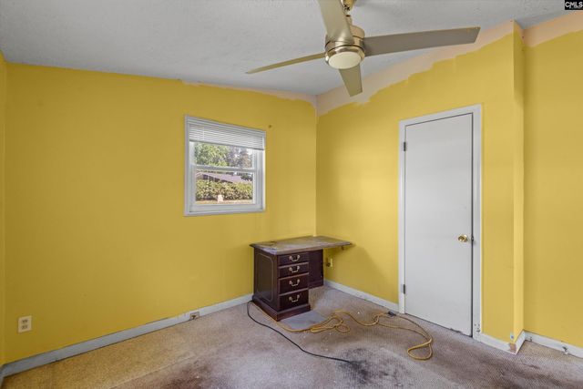 133 Williams Way, Chapin, SC 29036