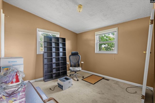 133 Williams Way, Chapin, SC 29036
