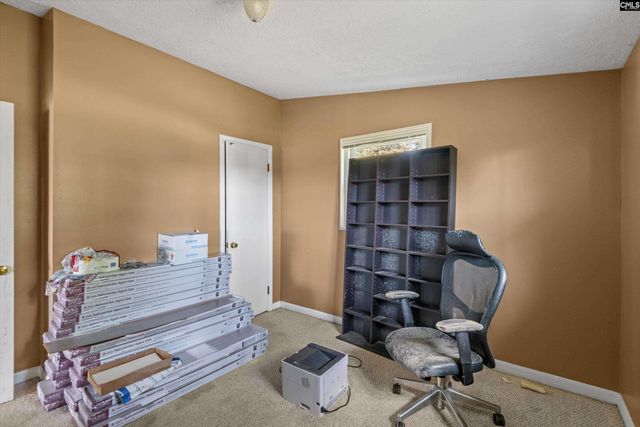 133 Williams Way, Chapin, SC 29036