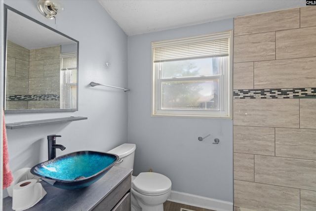 133 Williams Way, Chapin, SC 29036