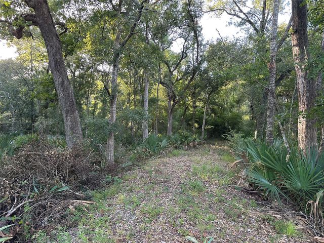 0 County Road 728c, Sweeny, TX 77480