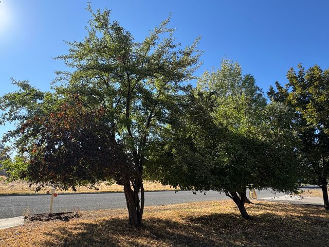 1234 NW 9th Street, Redmond, OR 97756