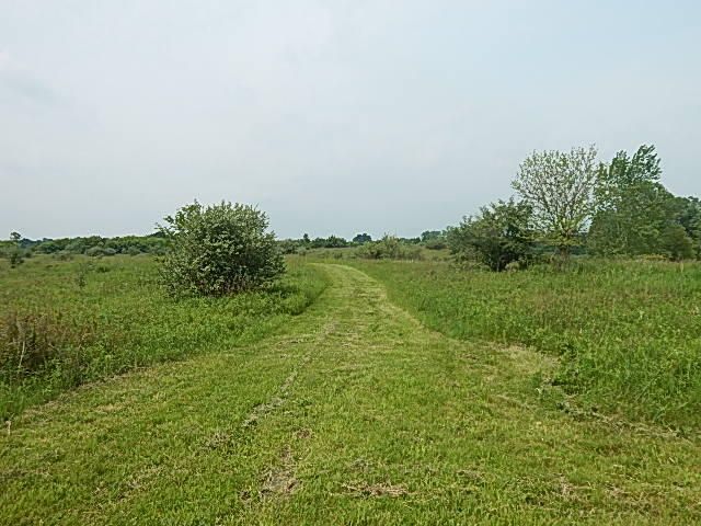 2479 Oakley Road, Stockbridge, MI 49285