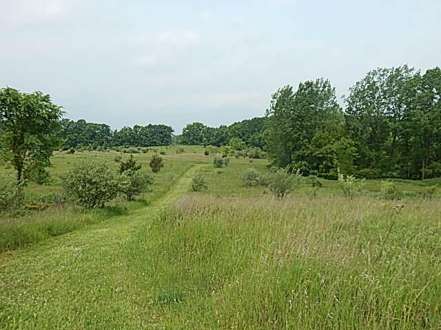 2479 Oakley Road, Stockbridge, MI 49285