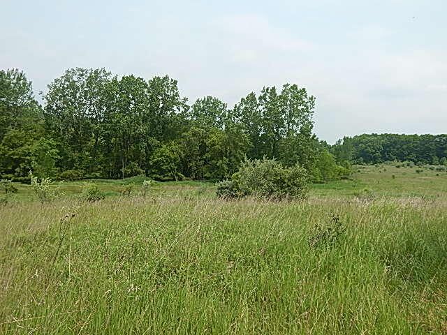 2479 Oakley Road, Stockbridge, MI 49285