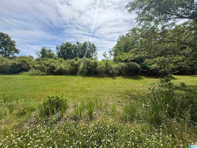 2358 HIGHWAY 36, Oneonta, AL 35121