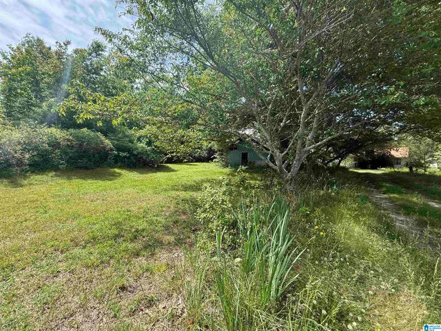 2358 HIGHWAY 36, Oneonta, AL 35121