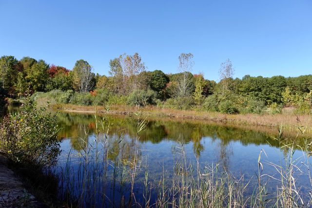 17751 Blue Star Highway, South Haven, MI 49090