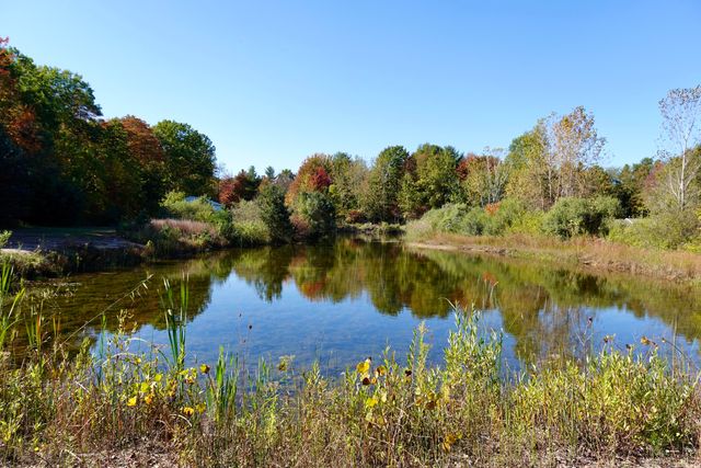 17751 Blue Star Highway, South Haven, MI 49090