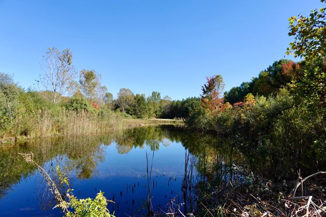 17751 Blue Star Highway, South Haven, MI 49090