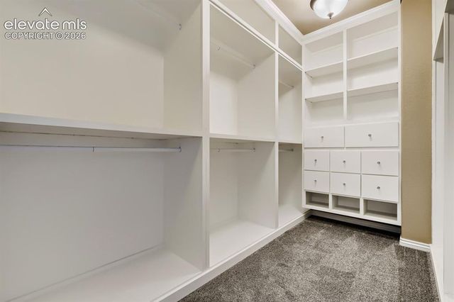 16149 Denver Pacific Drive, Monument, CO 80132