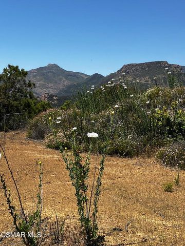 102 W Carlisle Road, Thousand Oaks, CA 91361