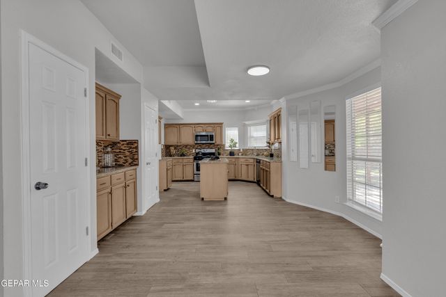 1909 POLLY HARRIS Drive, El Paso, TX 79936