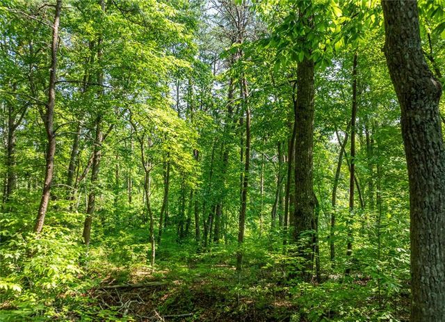 LOT 34 Winfield Circle, Blue Ridge, GA 30513