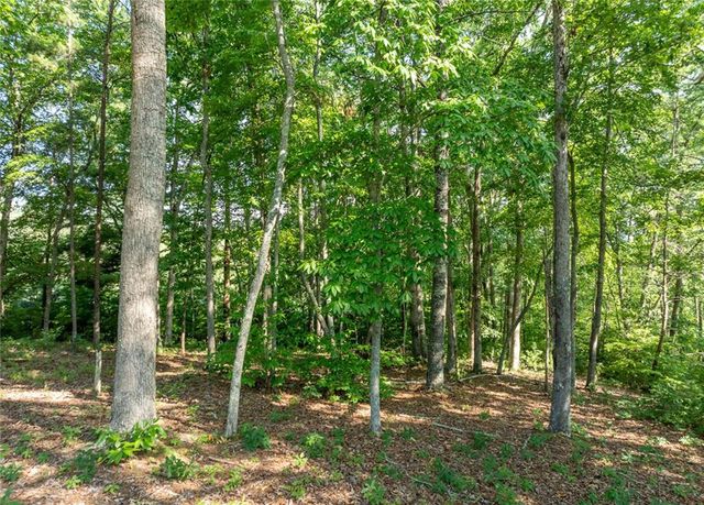 LOT 34 Winfield Circle, Blue Ridge, GA 30513