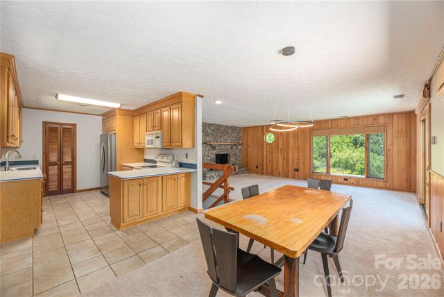 250 Lynn Cove Road, Asheville, NC 28804