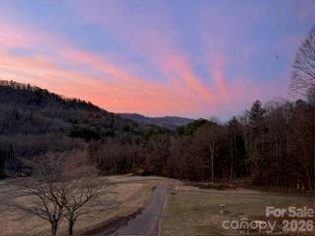 250 Lynn Cove Road, Asheville, NC 28804
