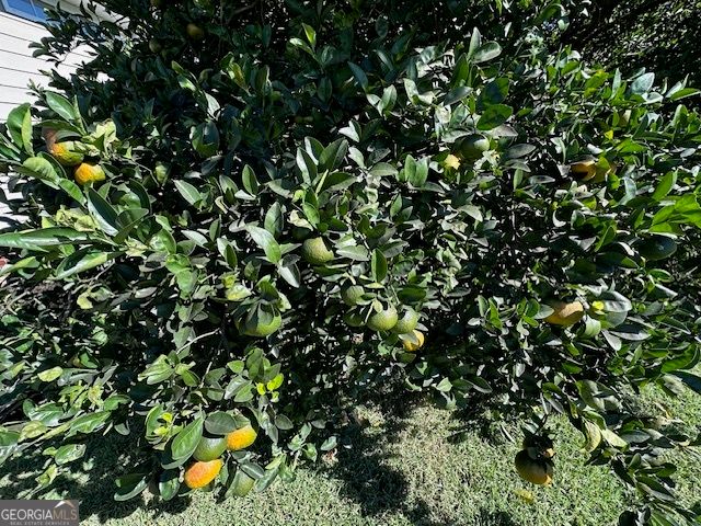 744 Sandy Bottom Drive, Lake Park, GA 31636