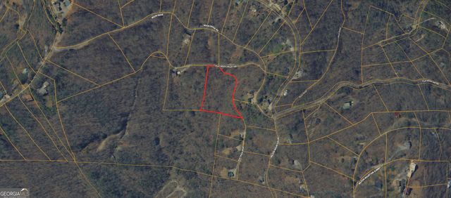 0 Flat Rock SPUR D-10, Blairsville, GA 30512