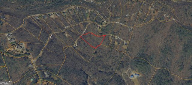 0 Flat Rock SPUR D-10, Blairsville, GA 30512