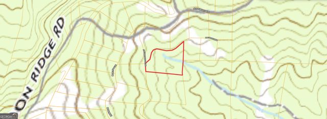 0 Flat Rock SPUR D-10, Blairsville, GA 30512