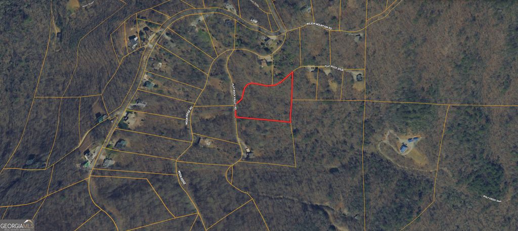 0 Flat Rock SPUR D-10, Blairsville, GA 30512