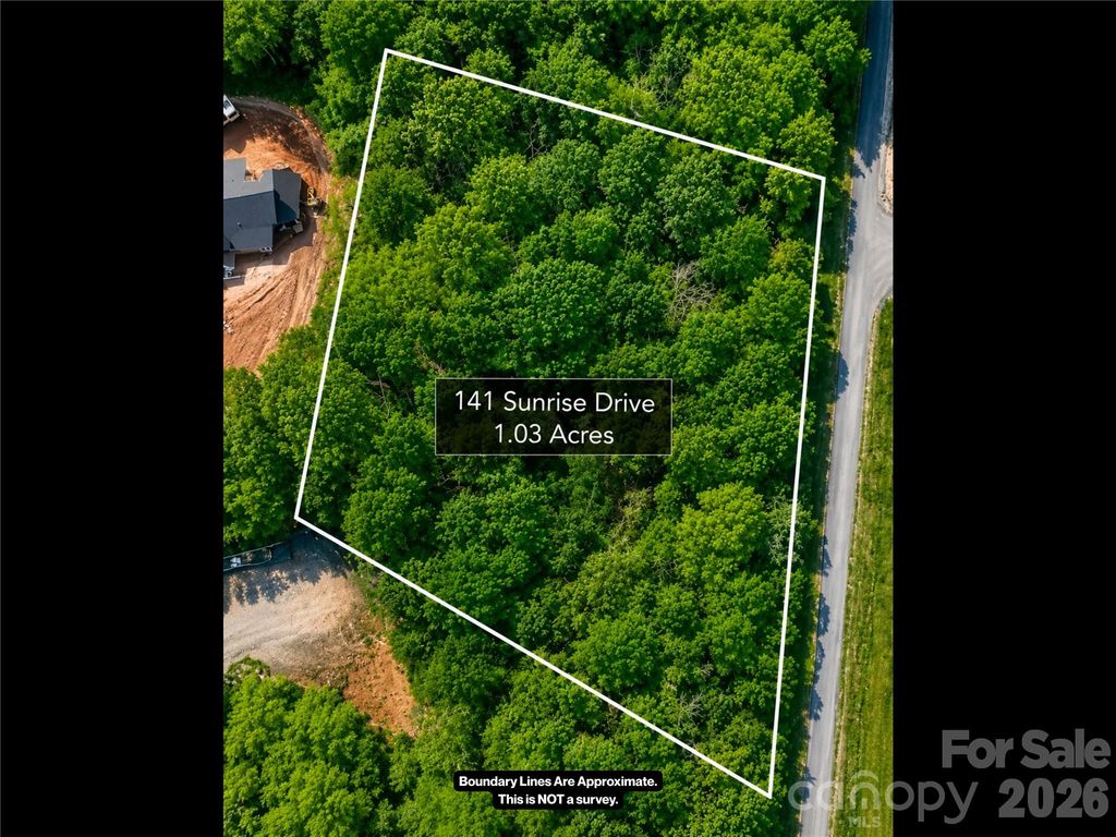 141 Sunrise Drive 14, Mars Hill, NC 28754