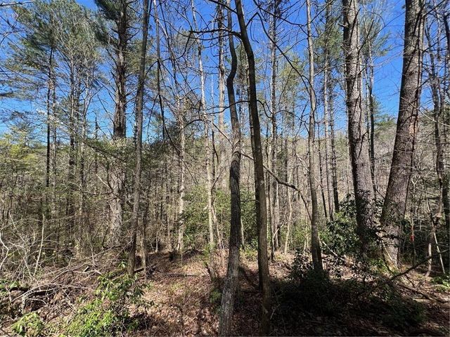 0 Trout Line Court, Talking Rock, GA 30175