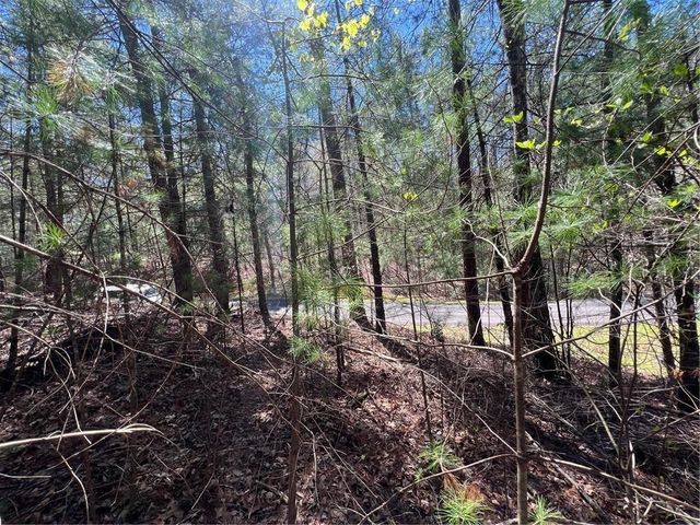 0 Trout Line Court, Talking Rock, GA 30175