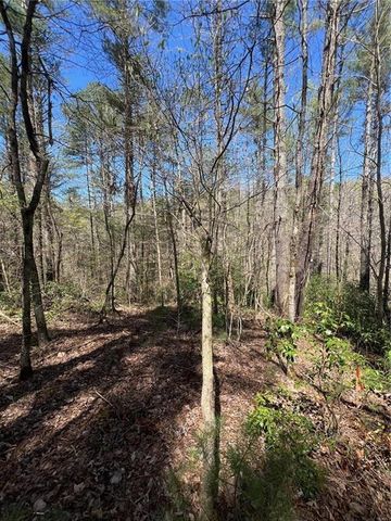 0 Trout Line Court, Talking Rock, GA 30175