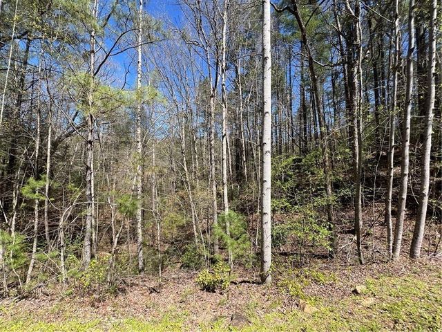 0 Trout Line Court, Talking Rock, GA 30175