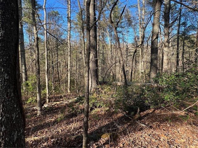 0 Trout Line Court, Talking Rock, GA 30175