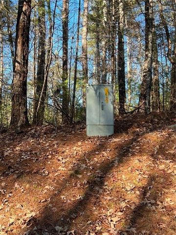 0 Trout Line Court, Talking Rock, GA 30175