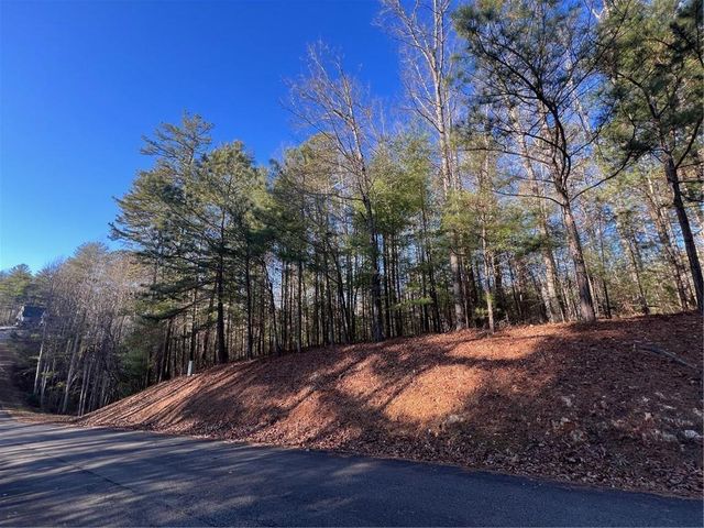 0 Trout Line Court, Talking Rock, GA 30175