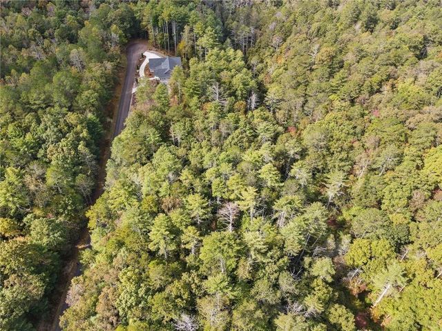 0 Trout Line Court, Talking Rock, GA 30175