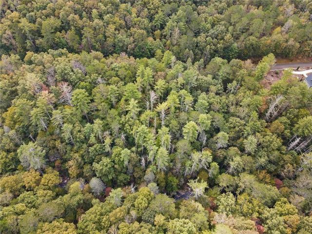 0 Trout Line Court, Talking Rock, GA 30175