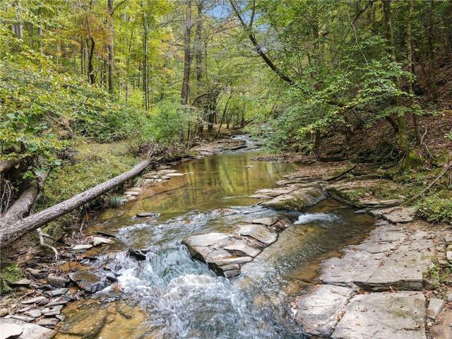 0 Trout Line Court, Talking Rock, GA 30175