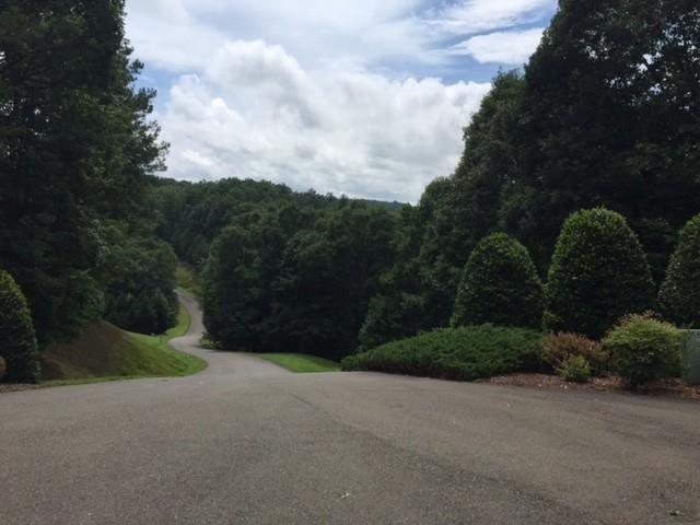 0 Trout Line Court, Talking Rock, GA 30175