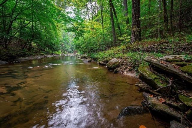 0 Trout Line Court, Talking Rock, GA 30175
