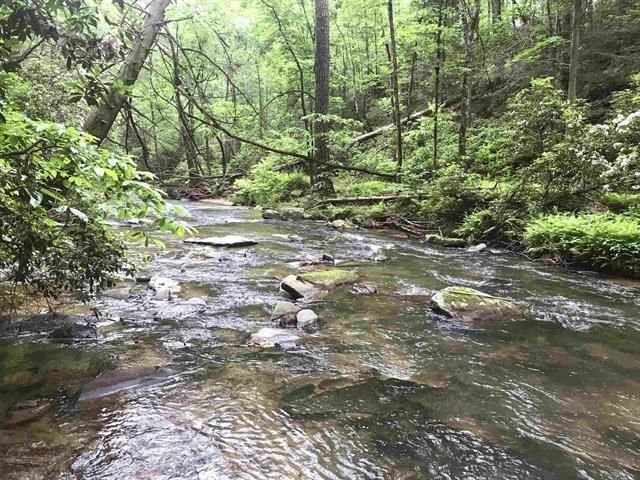0 Trout Line Court, Talking Rock, GA 30175
