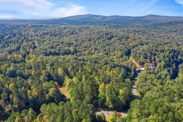 0 Trout Line Court, Talking Rock, GA 30175