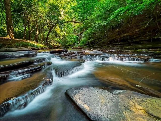 0 Trout Line Court, Talking Rock, GA 30175