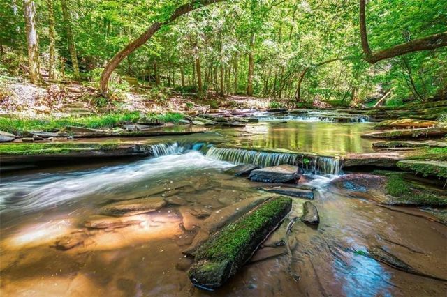 0 Trout Line Court, Talking Rock, GA 30175