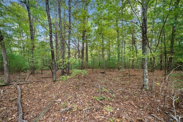 0 Trout Line Court, Talking Rock, GA 30175